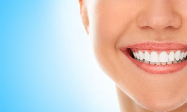 dental check-ups in port macquarie